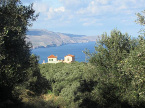 Panselinos Studios, Tavronitis